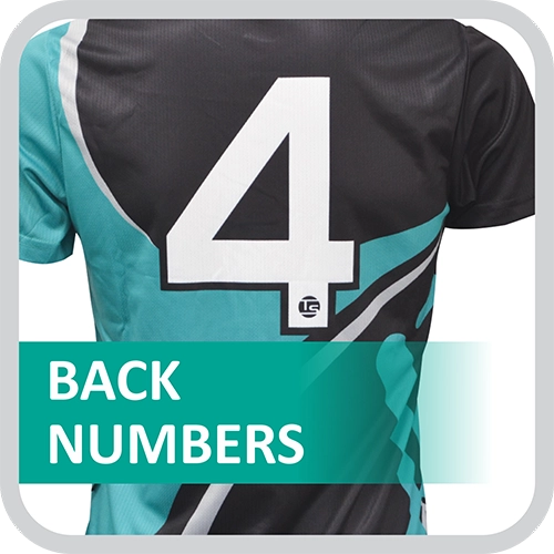 Cricket Back Number Icon